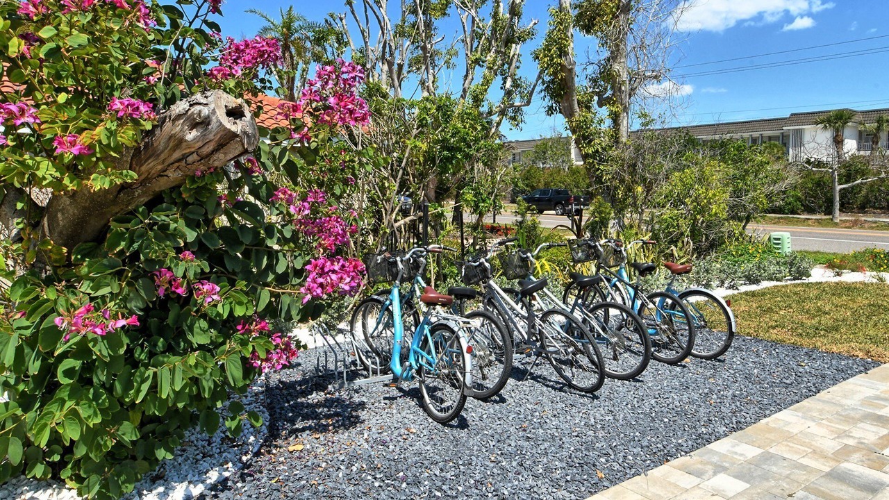 Photo of Outdoor in Longboat Key