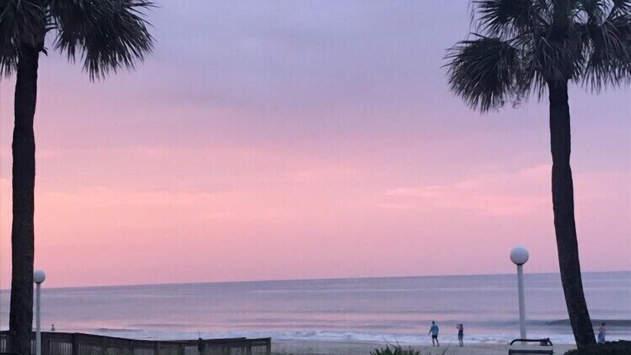 Photo of Outdoor in Ormond-by-the-Sea
