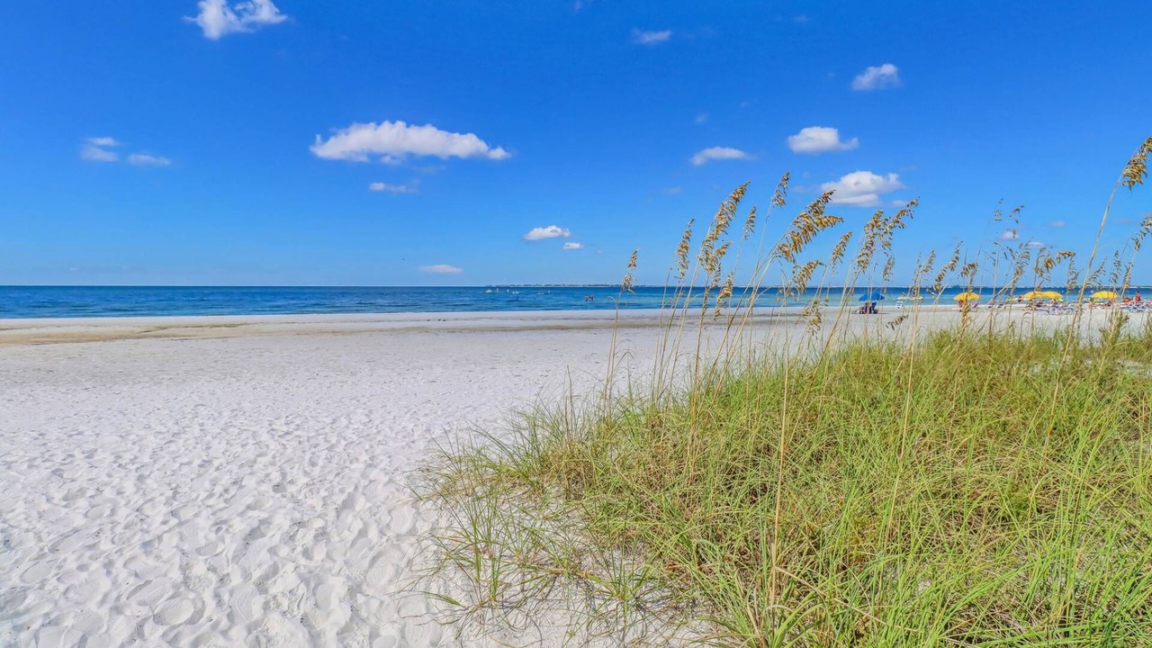 Photo of Others in Fort Myers Beach