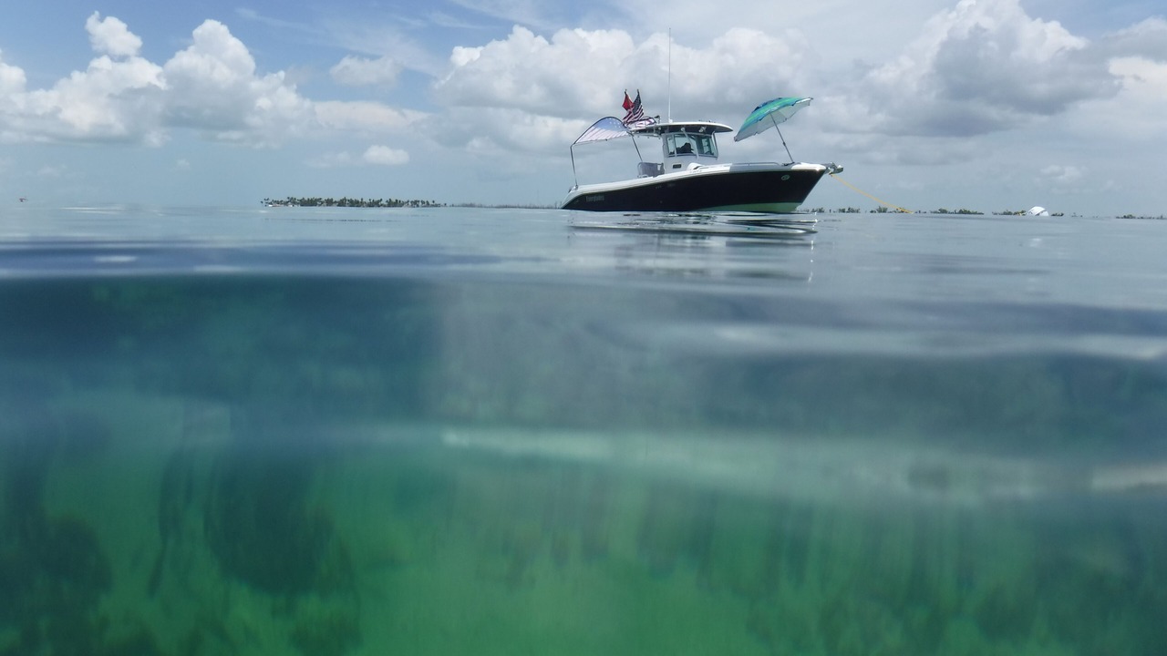 Photo of Others in Summerland Key