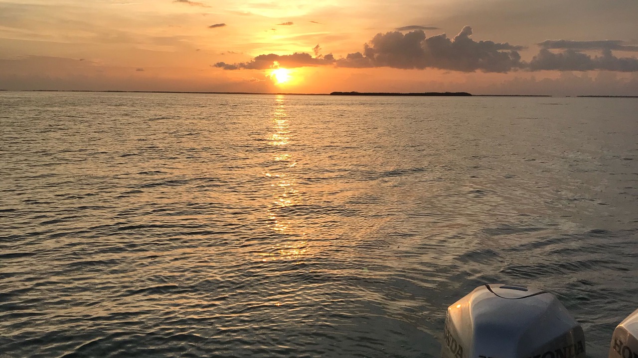 Photo of Others in Summerland Key