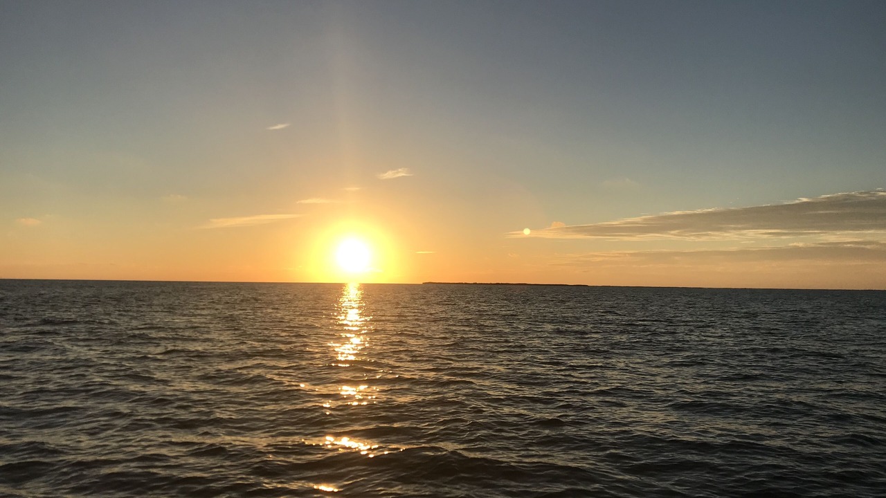 Photo of Others in Summerland Key