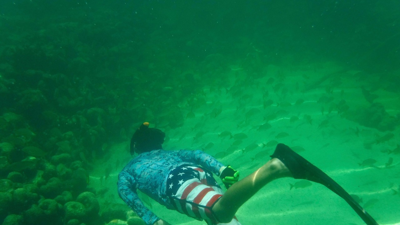 Photo of Others in Summerland Key
