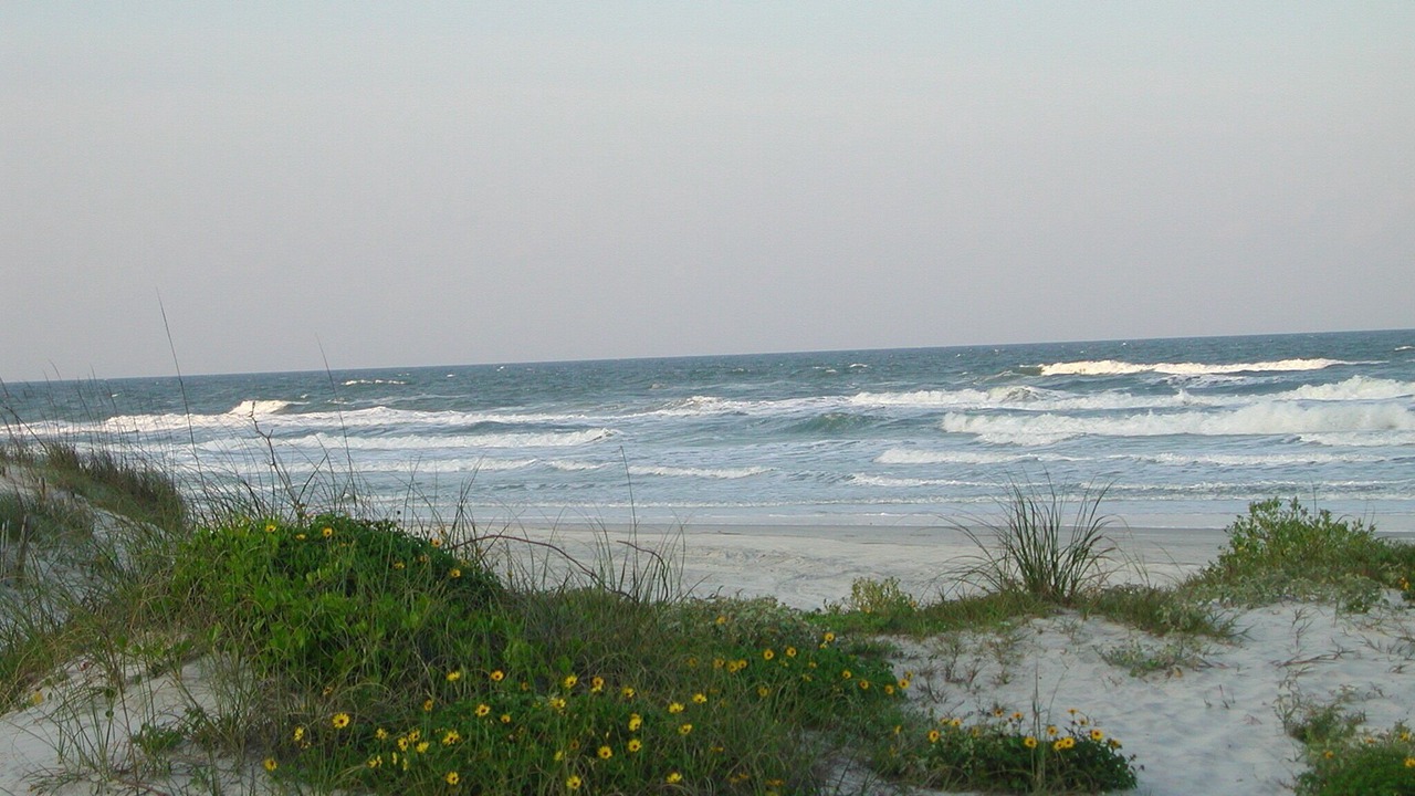 Photo of Others in Butler Beach