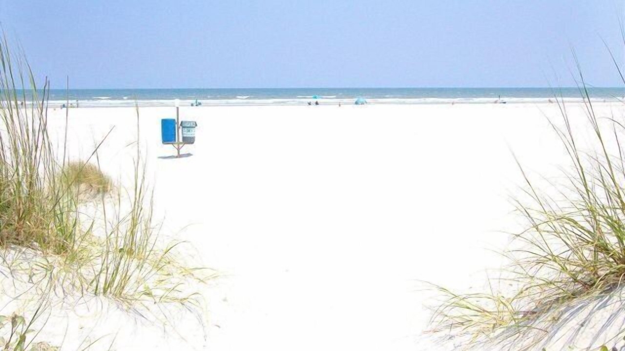Photo of Others in Butler Beach