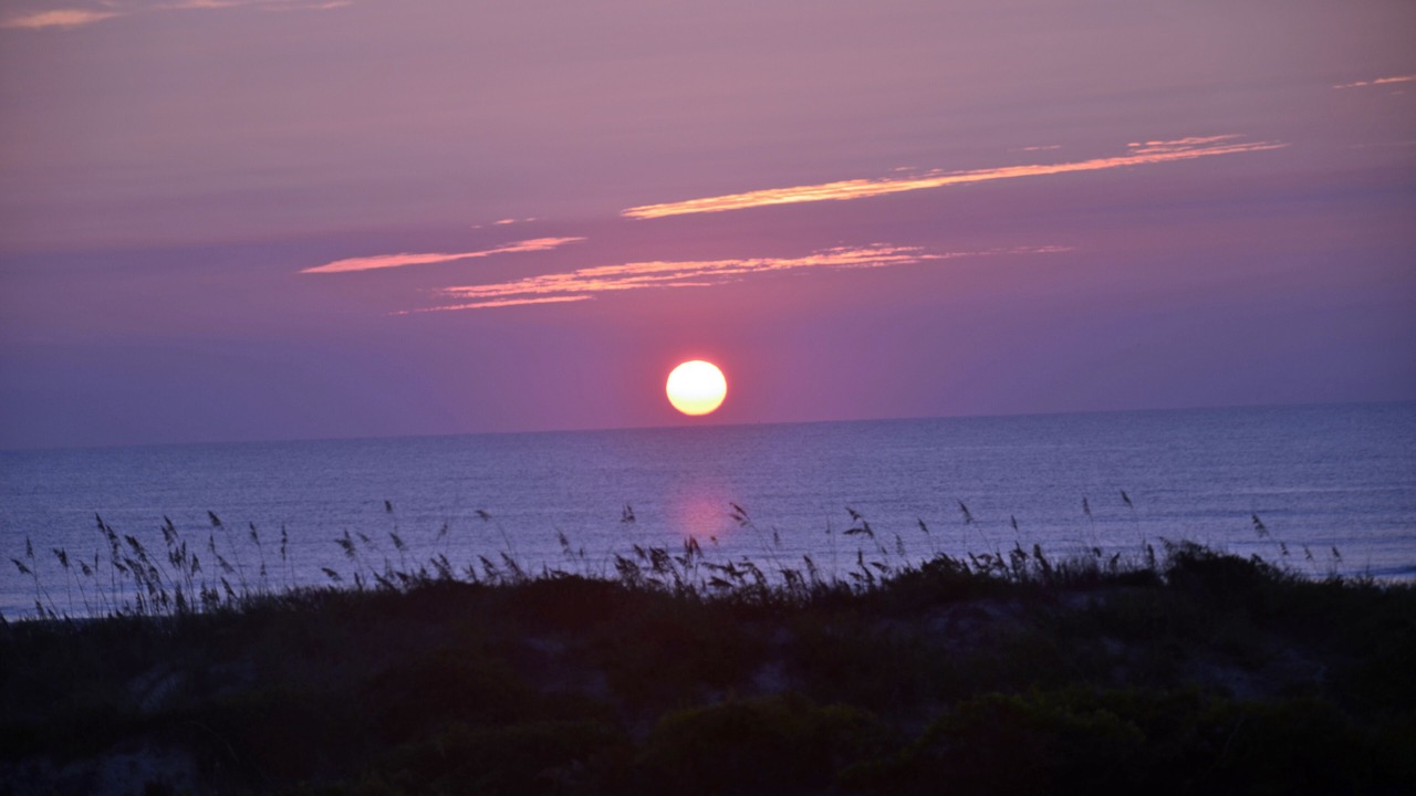 Photo of Others in Butler Beach