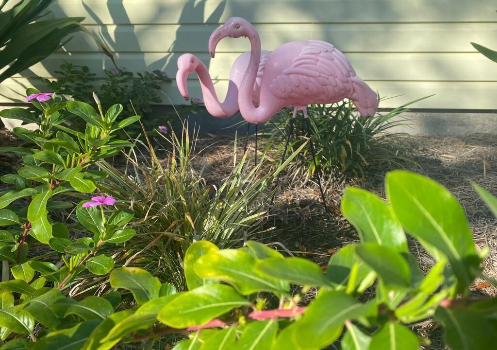 Photo of Outdoor in Butler Beach