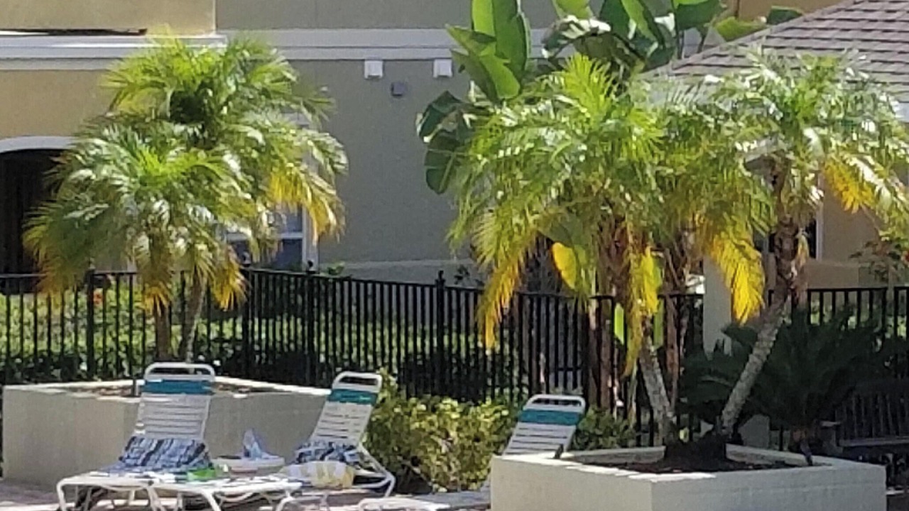 Photo of Outdoor in Clearwater