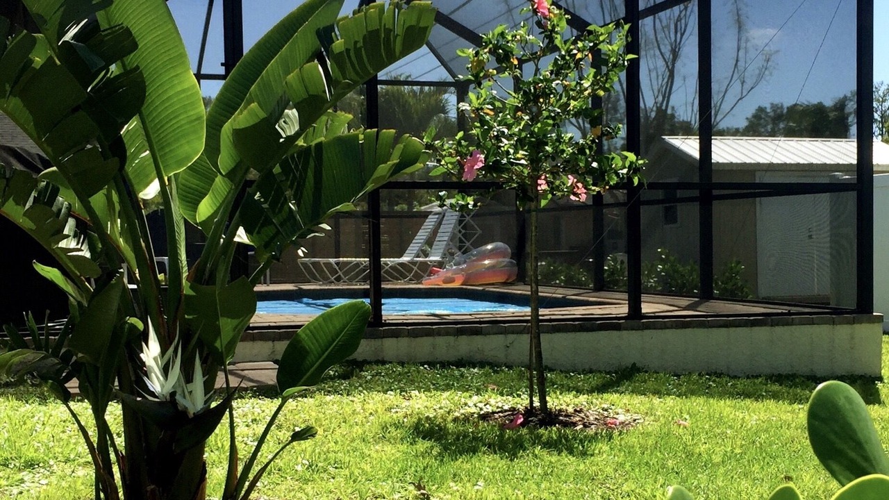 Photo of Outdoor in Bonita Springs
