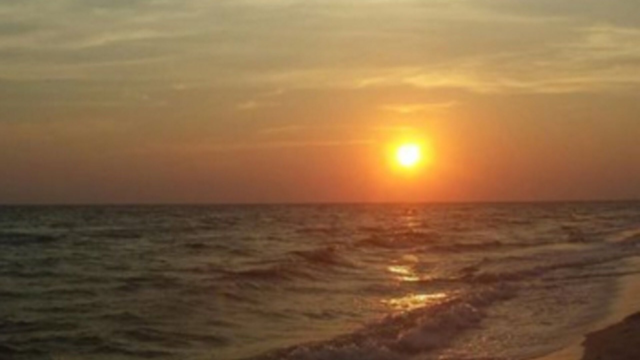 Photo of Others in West Panama City Beach
