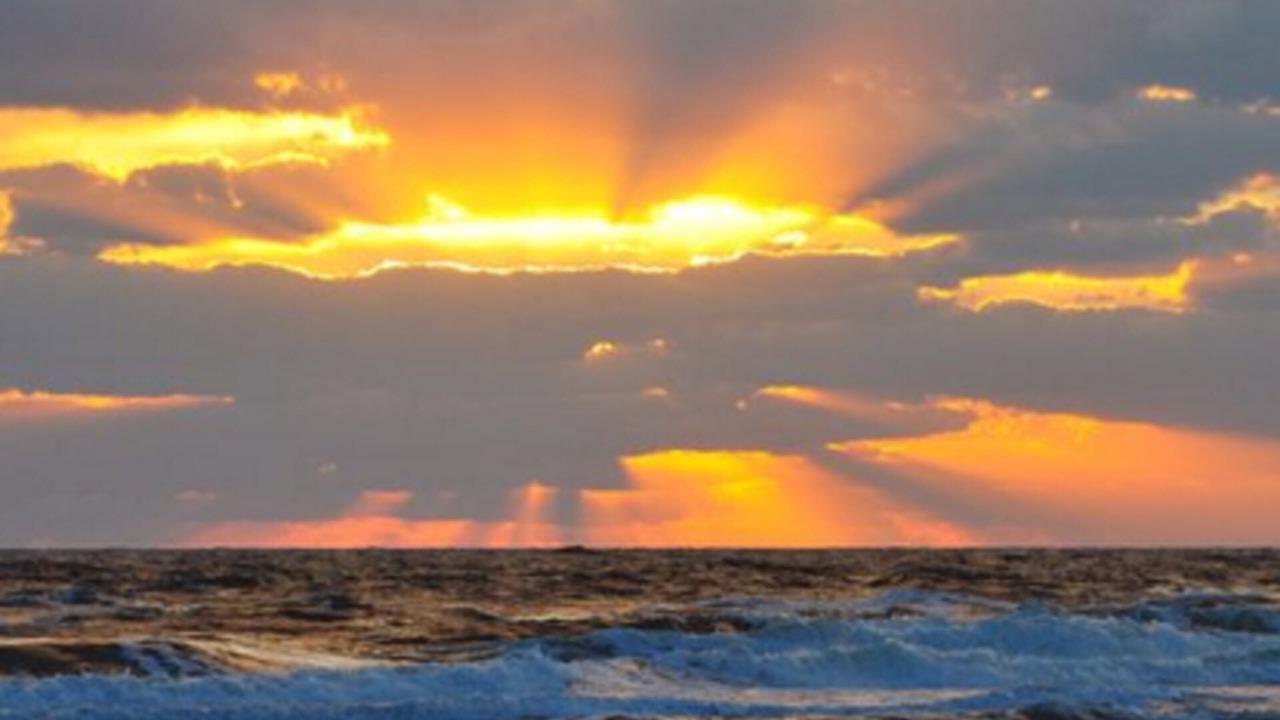 Photo of Others in West Panama City Beach