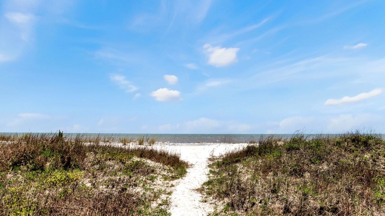 Photo of Others in Port St. Joe