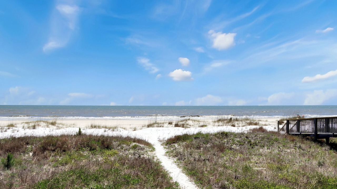 Photo of Others in Port St. Joe