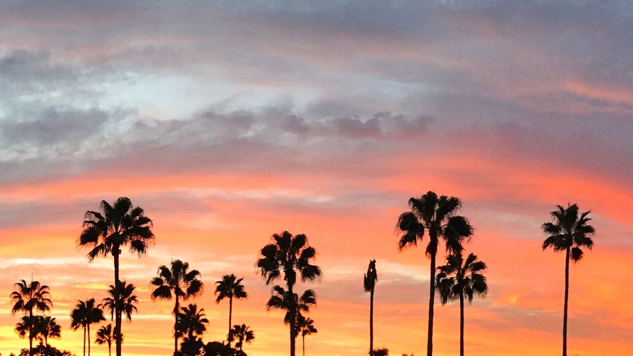 Photo of Outdoor in Palmetto
