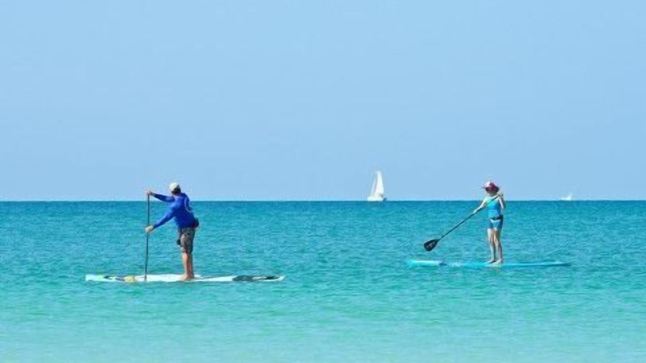 Photo of Others in South Island