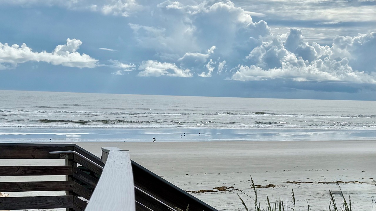 Photo of Others in New Smyrna Beach