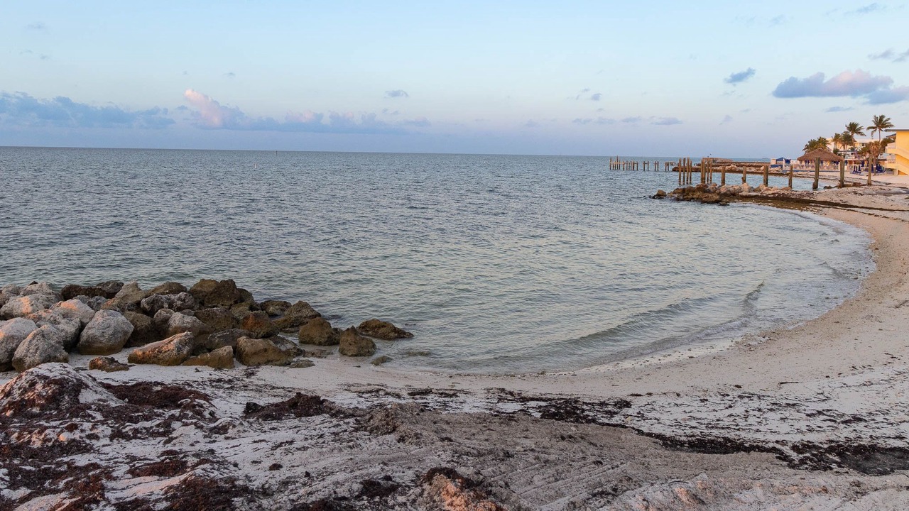 Photo of Others in Key Colony Beach