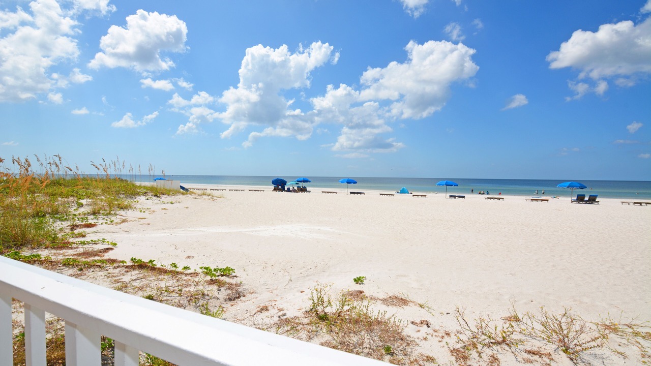 Photo of Others in Indian Shores