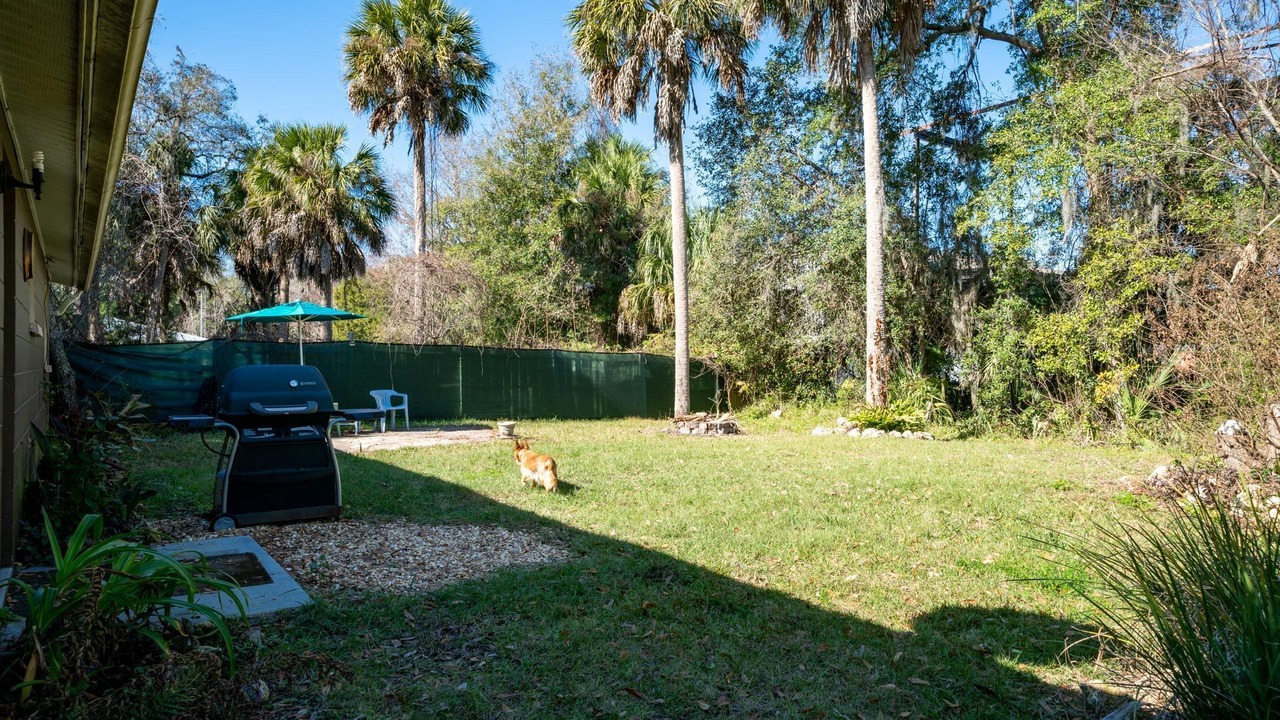 Photo of Outdoor in Homosassa