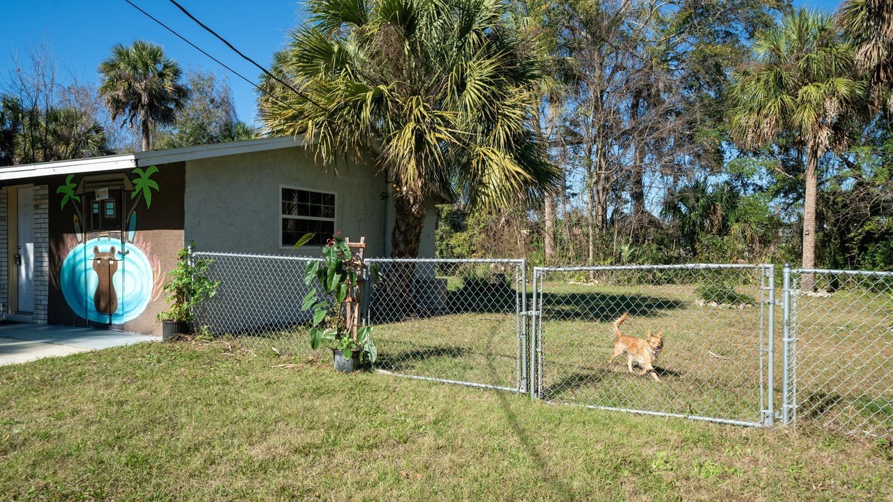 Photo of Others in Homosassa