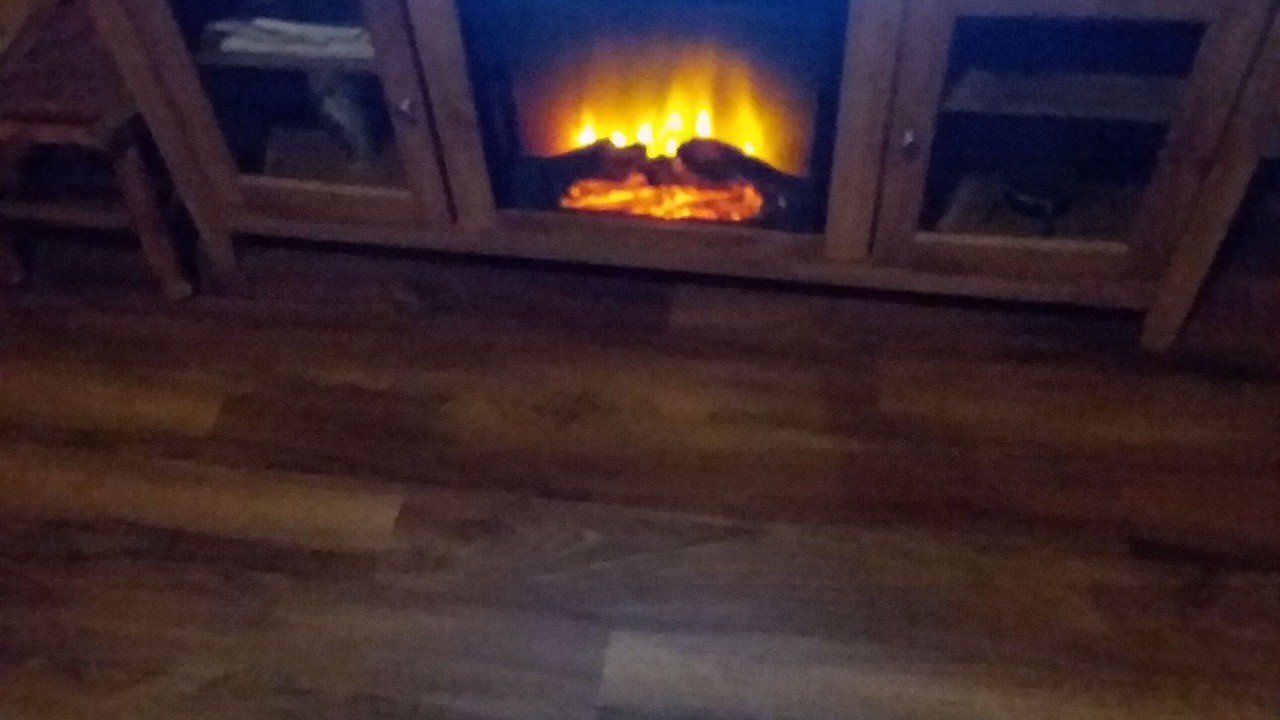 Photo of Livingroom in Braden River
