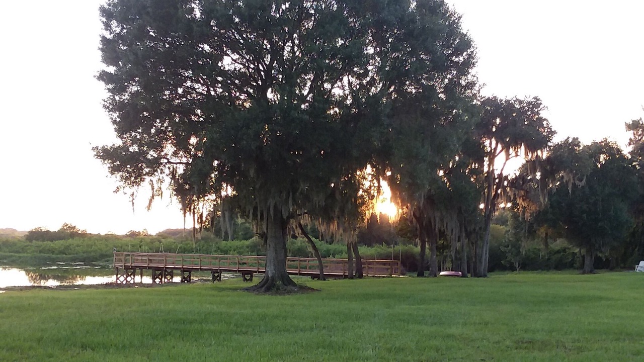 Photo of Others in Braden River