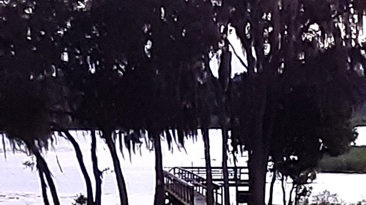 Photo of Outdoor in Braden River