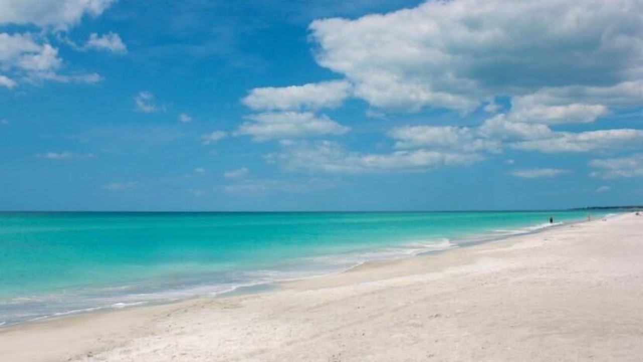 Photo of Others in Longboat Key