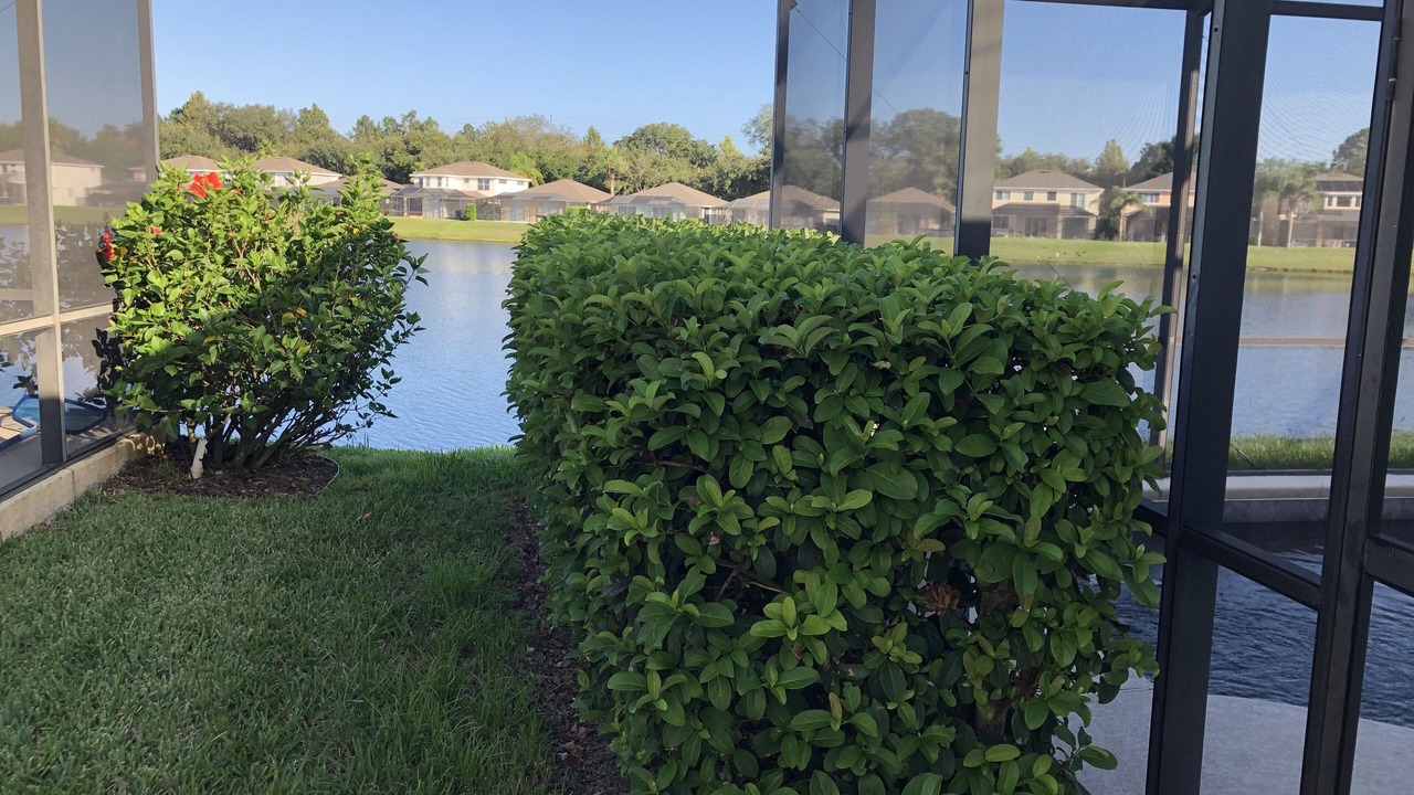 Photo of Others in West Kissimmee
