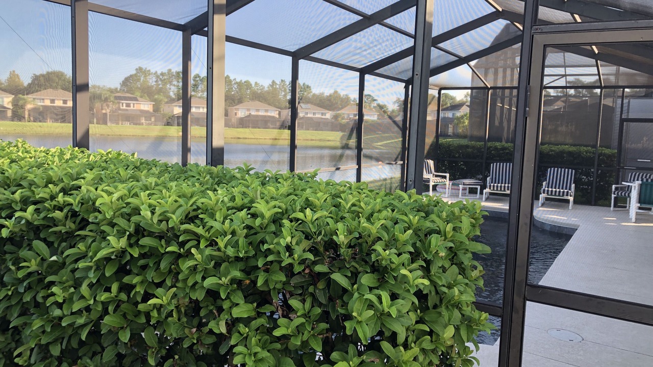 Photo of Outdoor in West Kissimmee