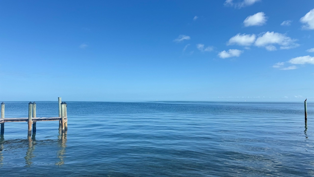 Photo of Others in Florida Keys