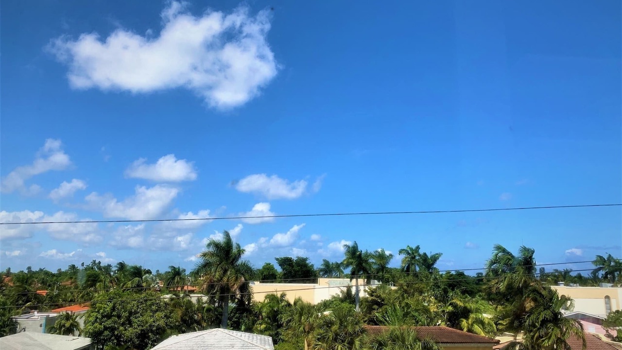 Photo of Others in Palm Beach