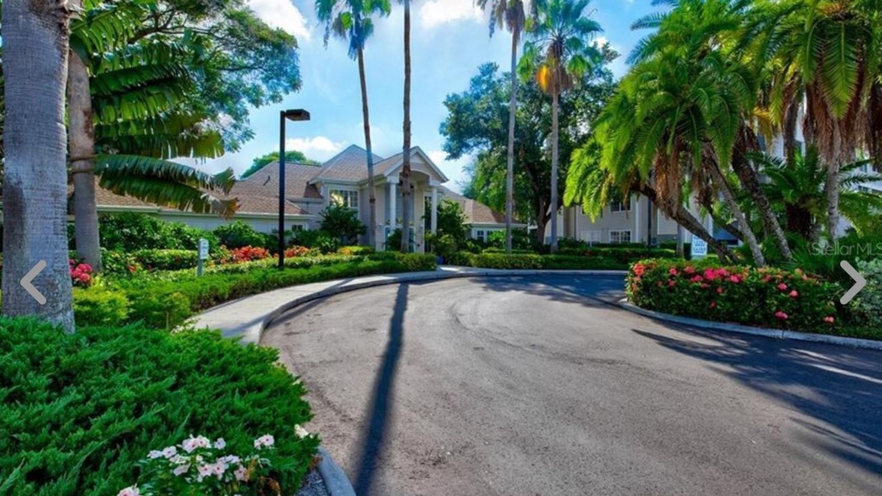 Photo of Others in Central Sarasota