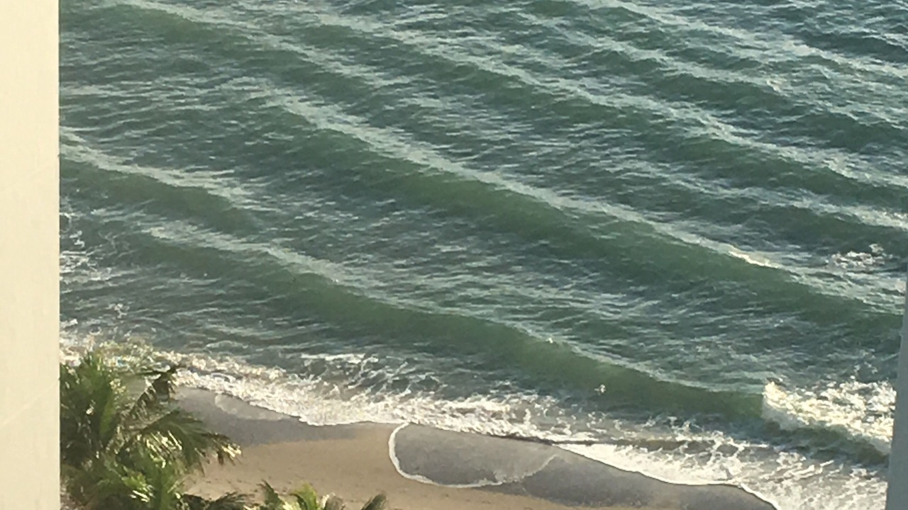 Photo of Patio Balcony in Hollywood South Central Beach