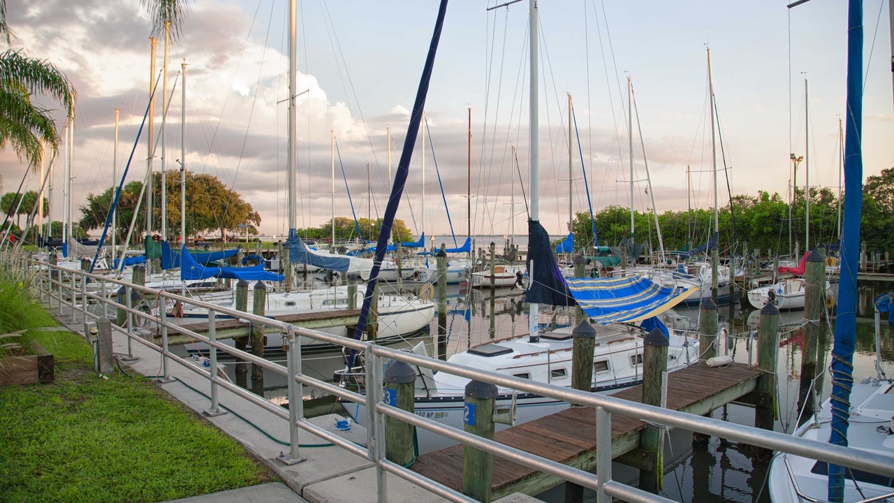 Photo of Others in Safety Harbor