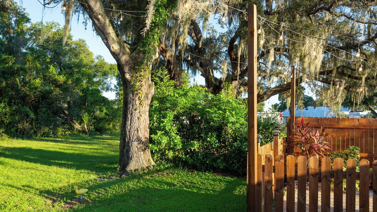 Photo of Others in Safety Harbor