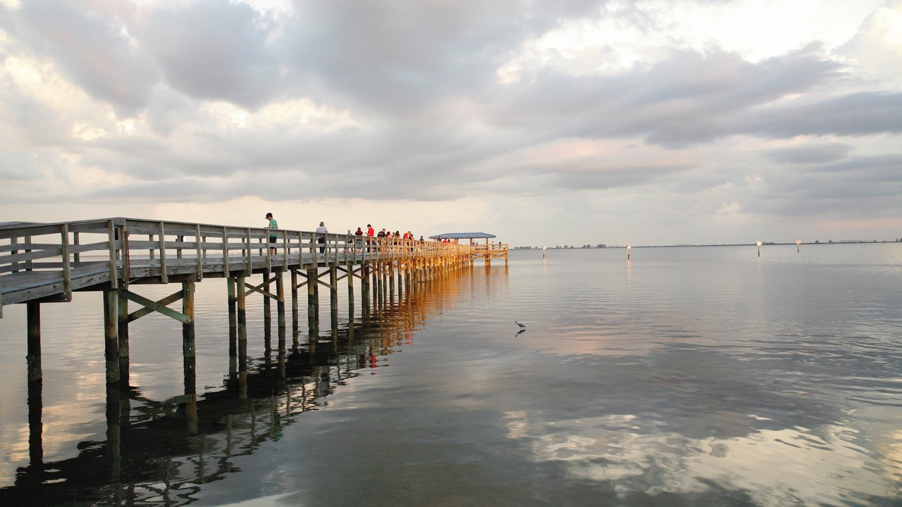 Photo of Others in Safety Harbor