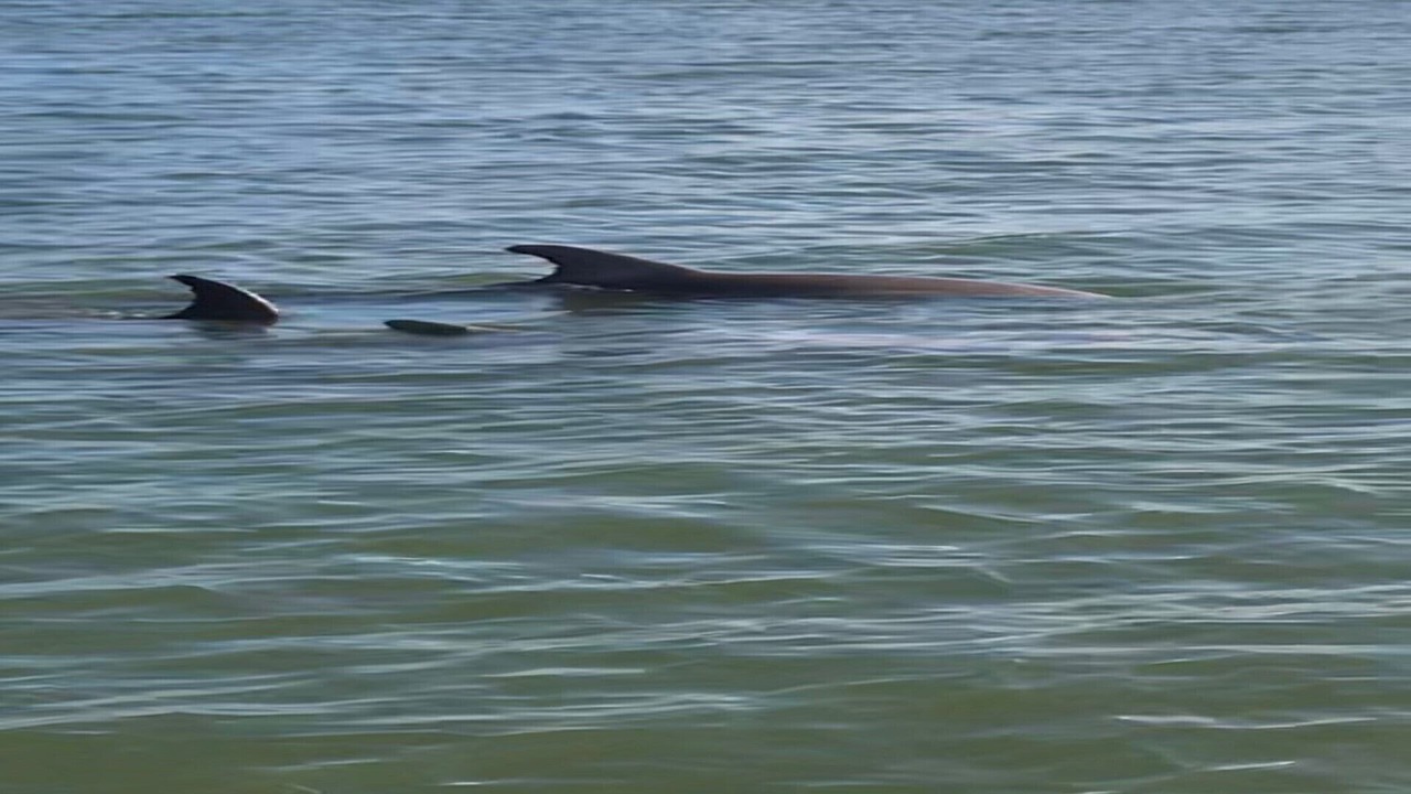 Photo of Others in Crescent Beach