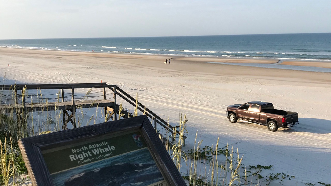 Photo of Others in Crescent Beach