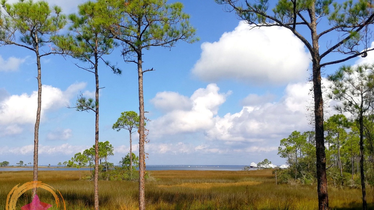 Photo of Others in Sandestin