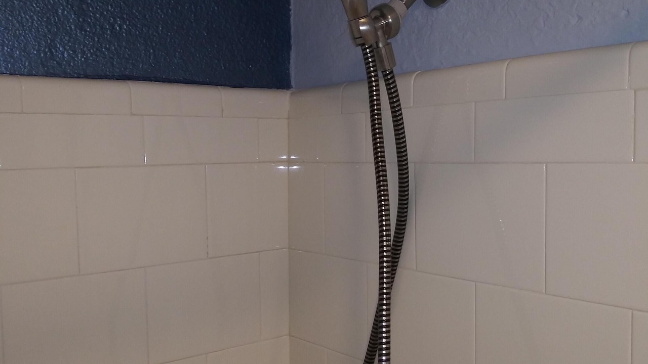 Photo of Bathroom in Redington Beach