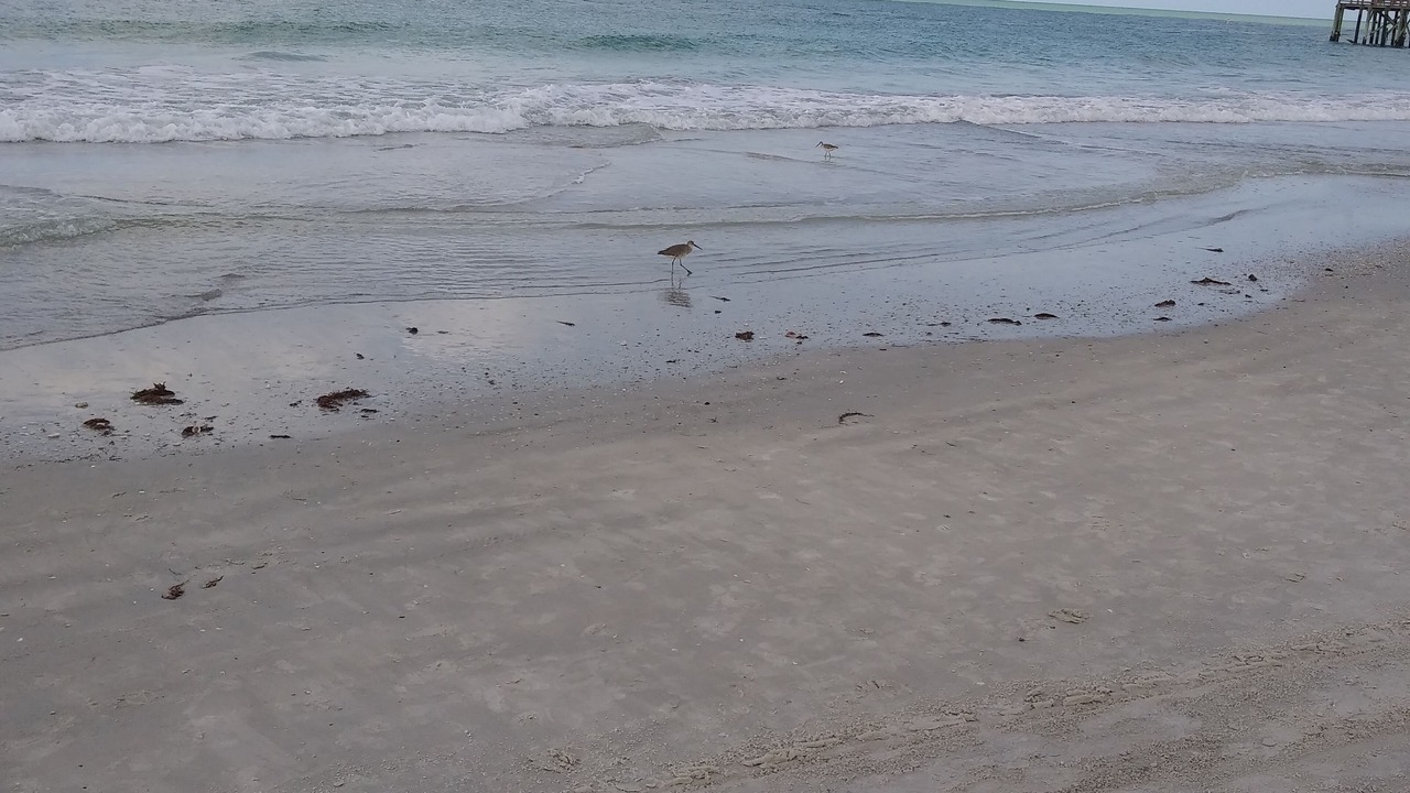 Photo of Others in Redington Beach