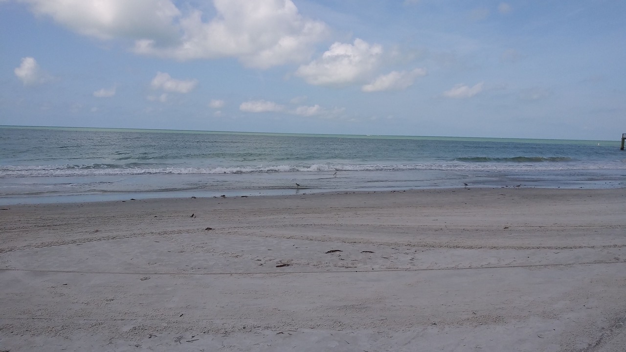 Photo of Others in Redington Beach