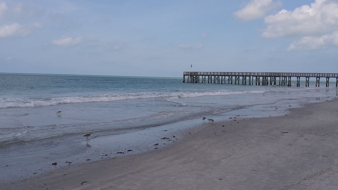 Photo of Others in Redington Beach