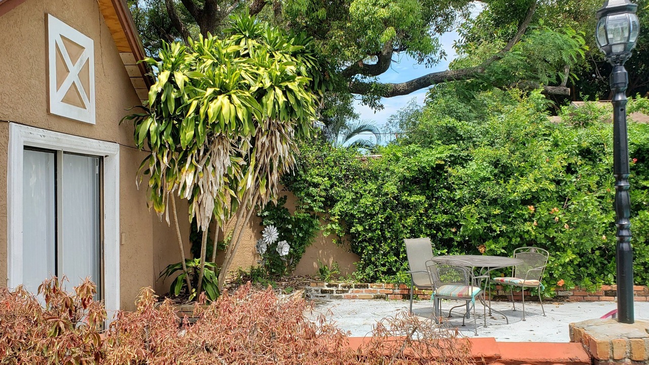 Photo of Outdoor in Clearwater