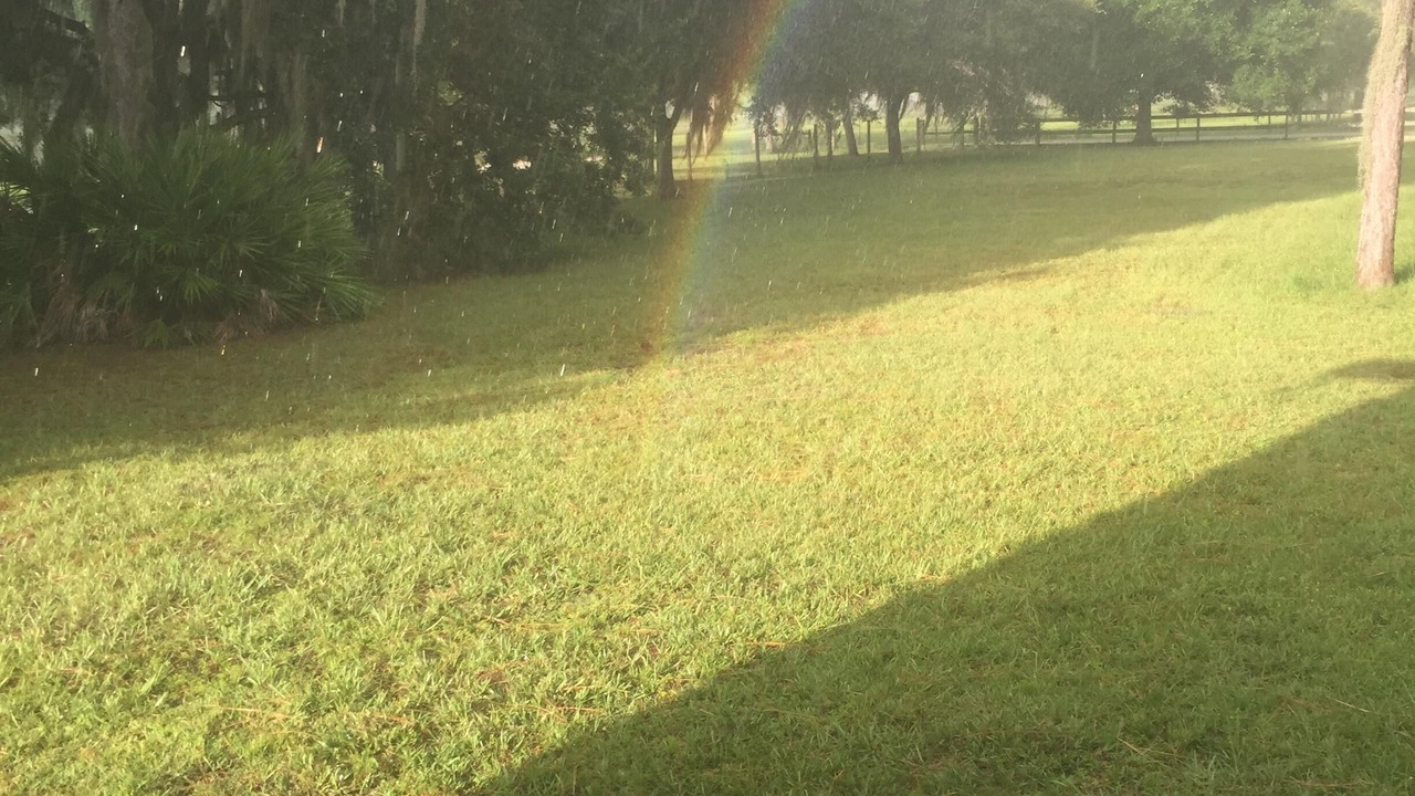 Photo of Others in Braden River