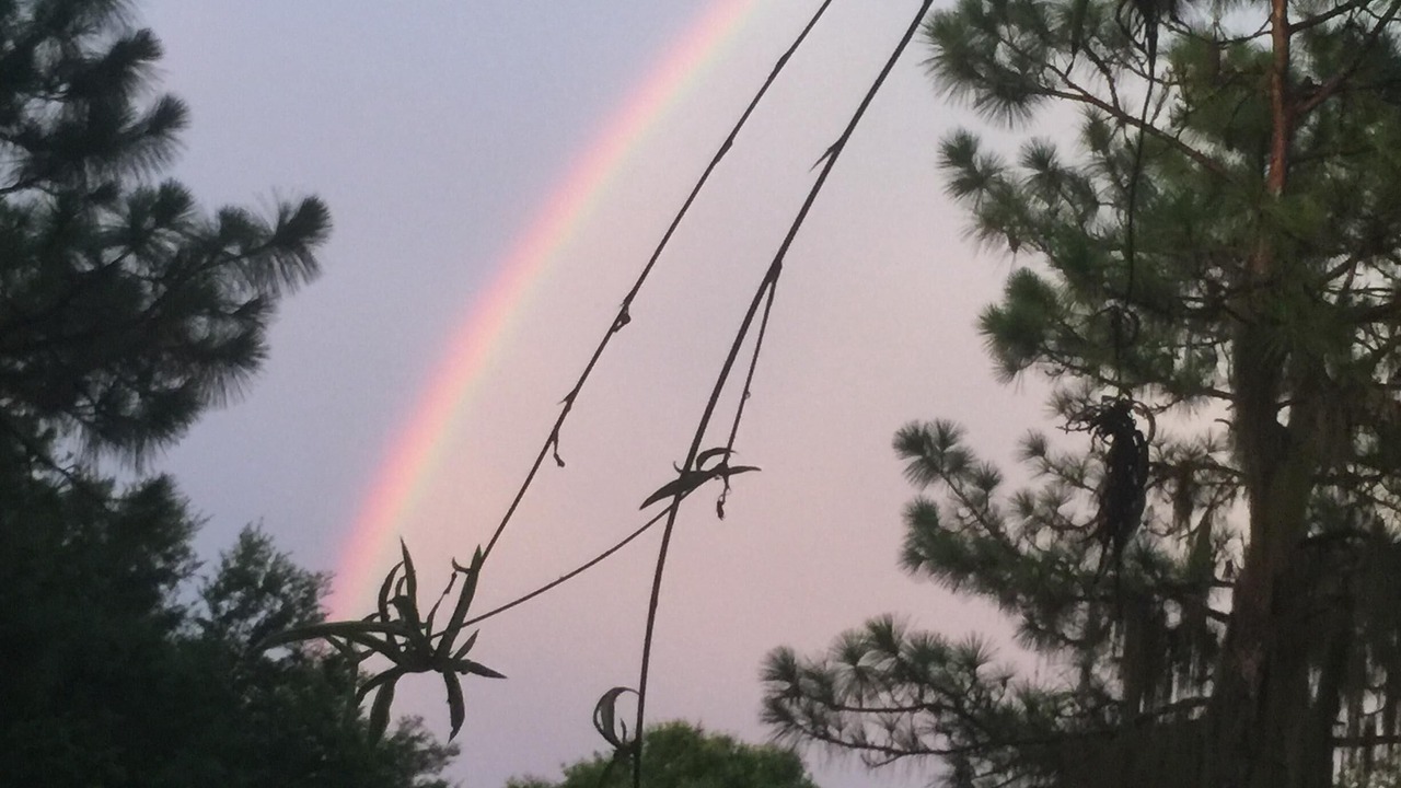 Photo of Outdoor in Braden River