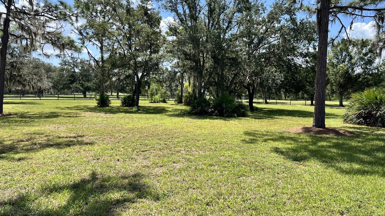 Photo of Others in Braden River