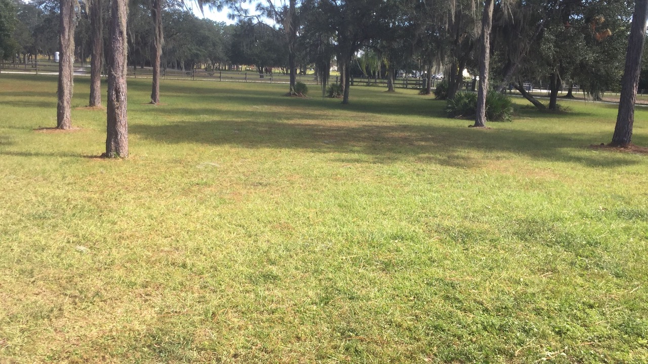 Photo of Others in Braden River