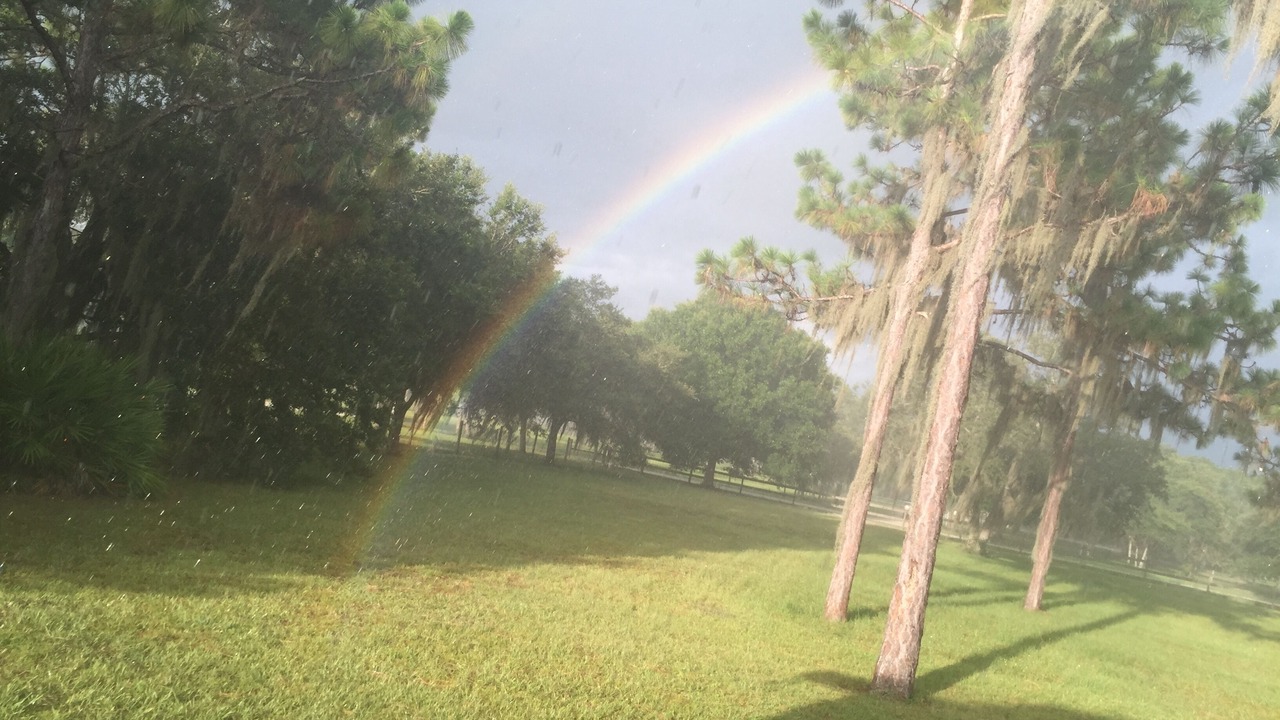 Photo of Others in Braden River